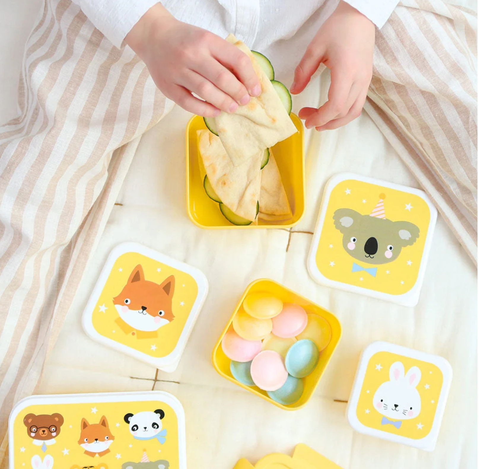 Boîtes à déjeuner – Petits Amis des animaux