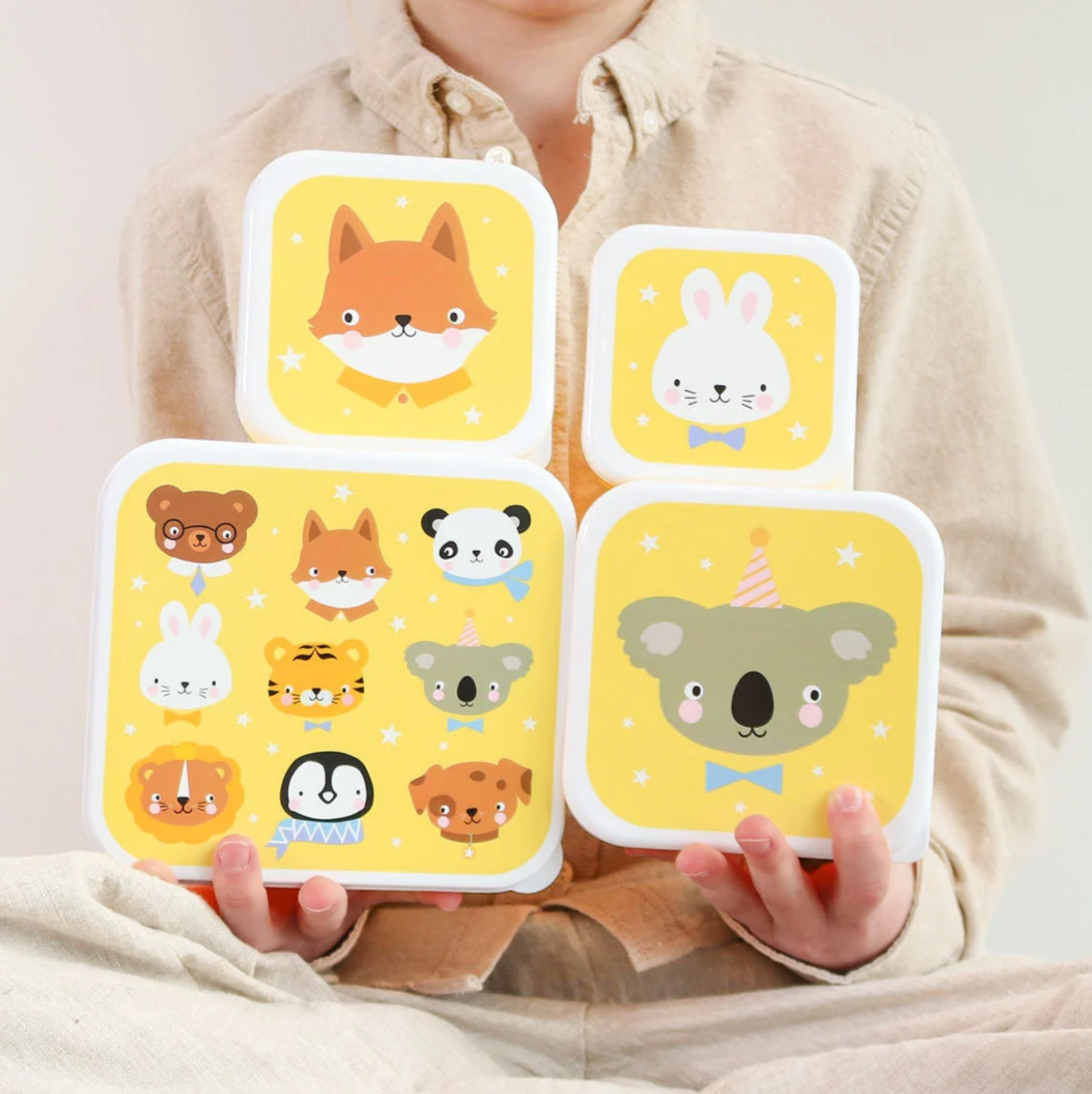 Boîtes à déjeuner – Petits Amis des animaux